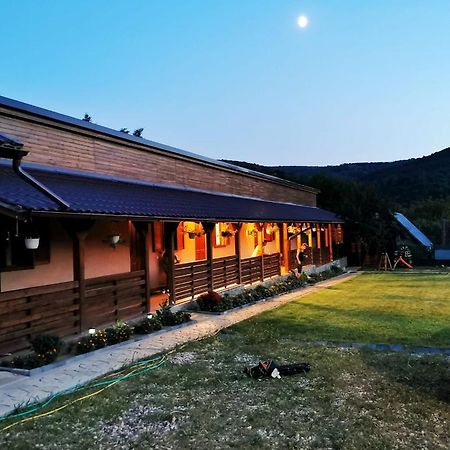 Casa Borcean 2 Pensionat Sasca Montană Exteriör bild