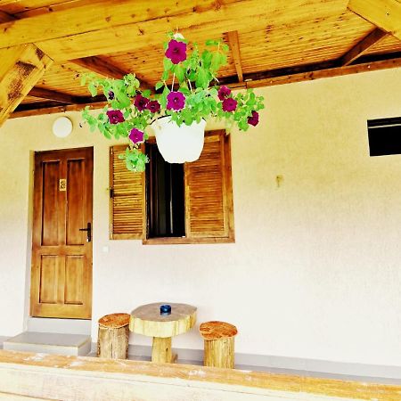 Casa Borcean 2 Pensionat Sasca Montană Exteriör bild