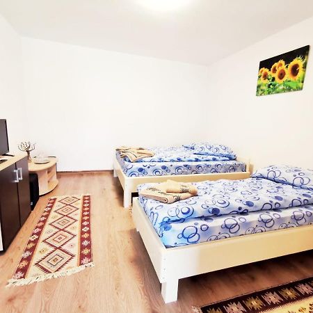 Casa Borcean 2 Pensionat Sasca Montană Exteriör bild