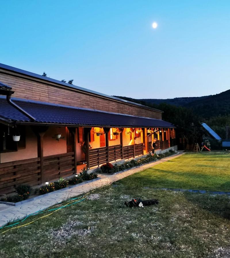 Casa Borcean 2 Pensionat Sasca Montană Exteriör bild