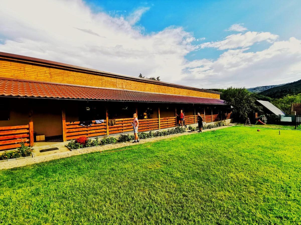 Casa Borcean 2 Pensionat Sasca Montană Exteriör bild