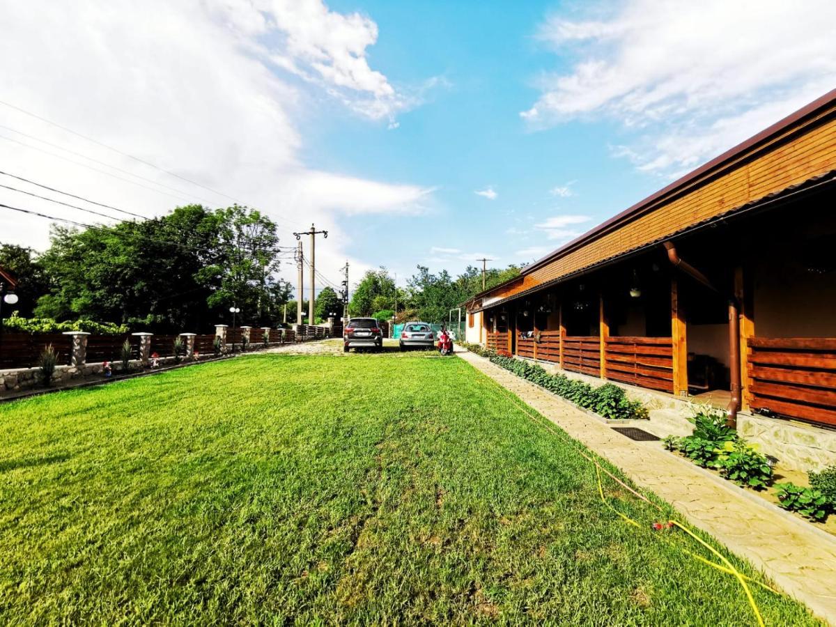 Casa Borcean 2 Pensionat Sasca Montană Exteriör bild