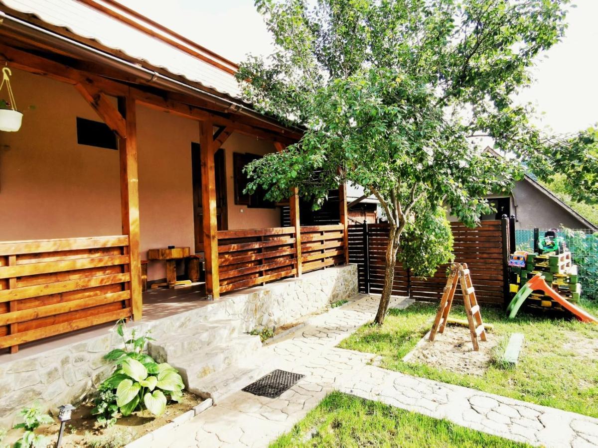 Casa Borcean 2 Pensionat Sasca Montană Exteriör bild