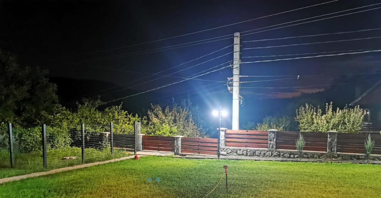 Casa Borcean 2 Pensionat Sasca Montană Exteriör bild