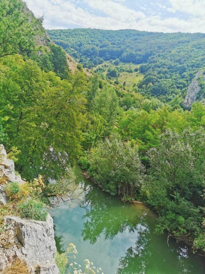 Casa Borcean 2 Pensionat Sasca Montană Exteriör bild