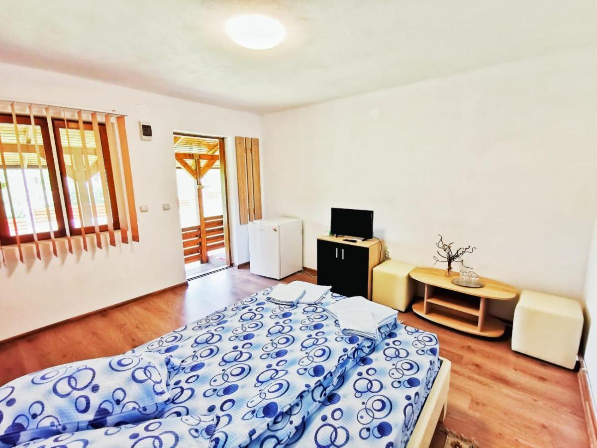 Casa Borcean 2 Pensionat Sasca Montană Exteriör bild