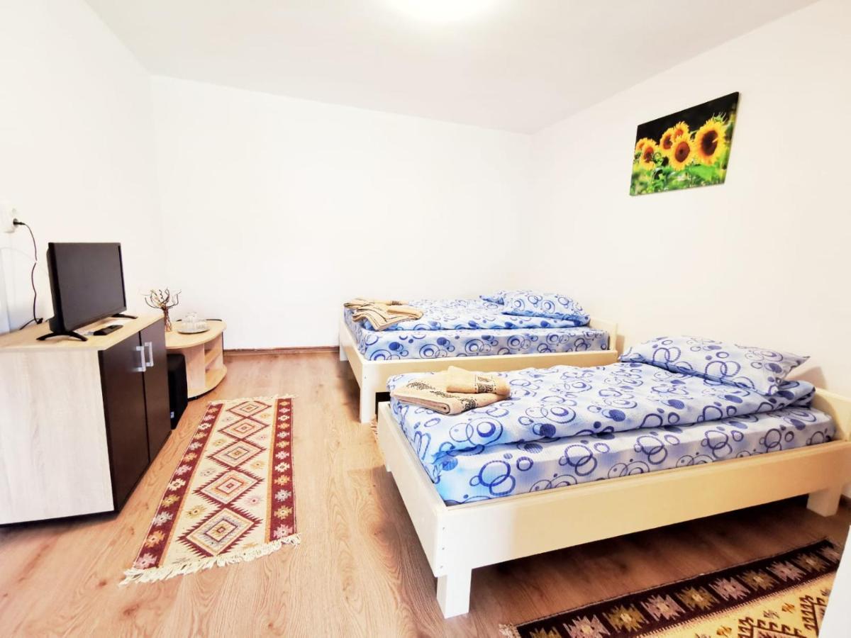 Casa Borcean 2 Pensionat Sasca Montană Exteriör bild
