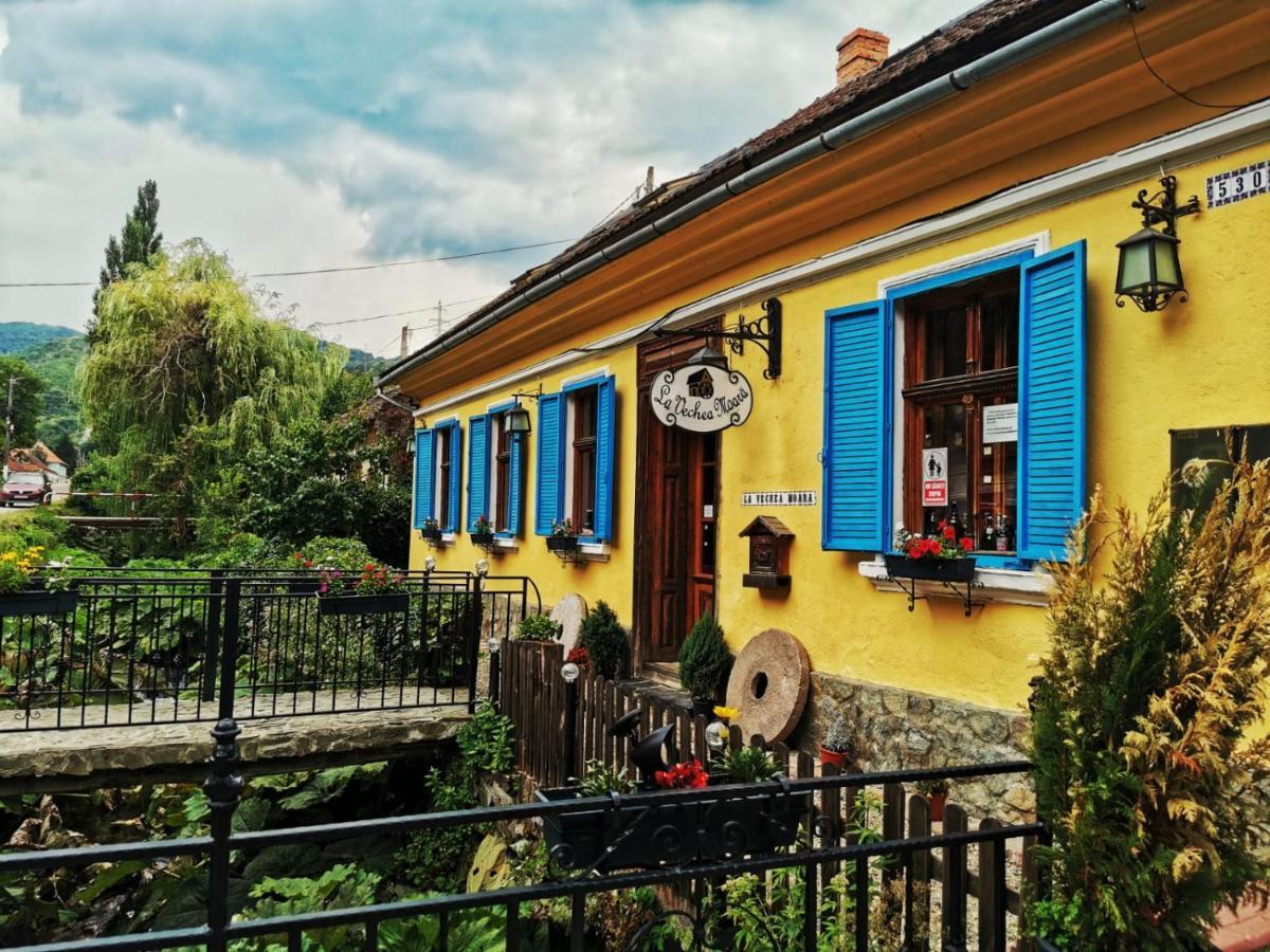 Casa Borcean 2 Pensionat Sasca Montană Exteriör bild